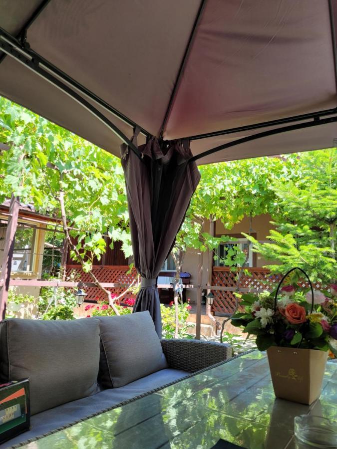 Casa Badea Ξενοδοχείο Murighiol Εξωτερικό φωτογραφία