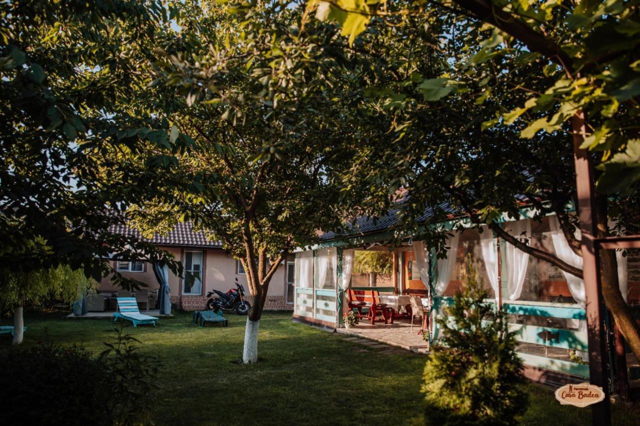 Casa Badea Ξενοδοχείο Murighiol Εξωτερικό φωτογραφία