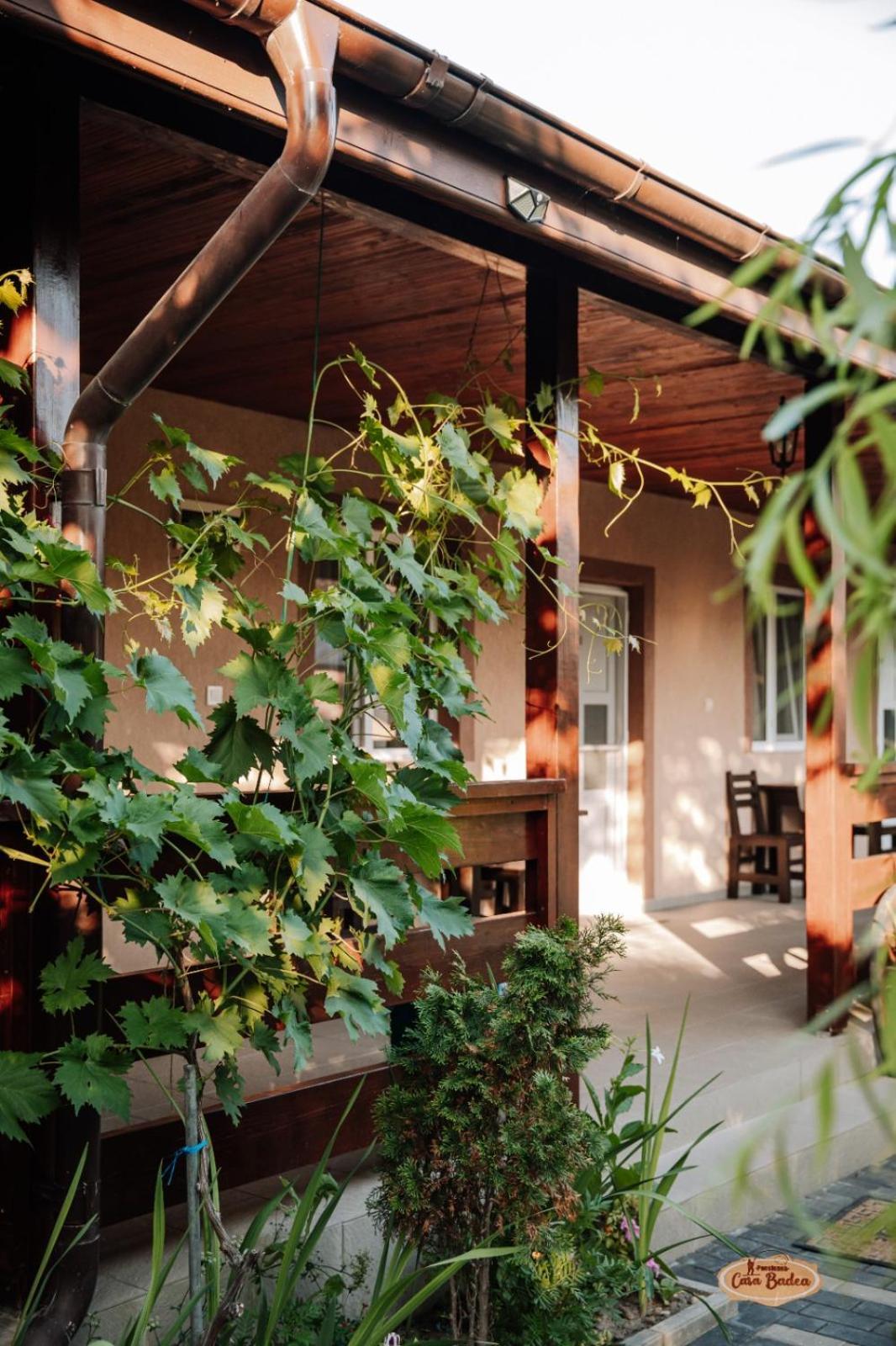 Casa Badea Ξενοδοχείο Murighiol Εξωτερικό φωτογραφία