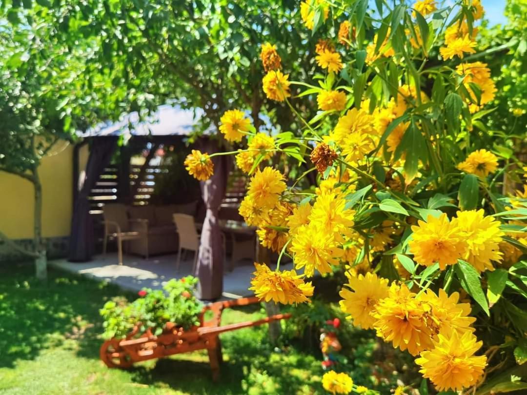 Casa Badea Ξενοδοχείο Murighiol Εξωτερικό φωτογραφία
