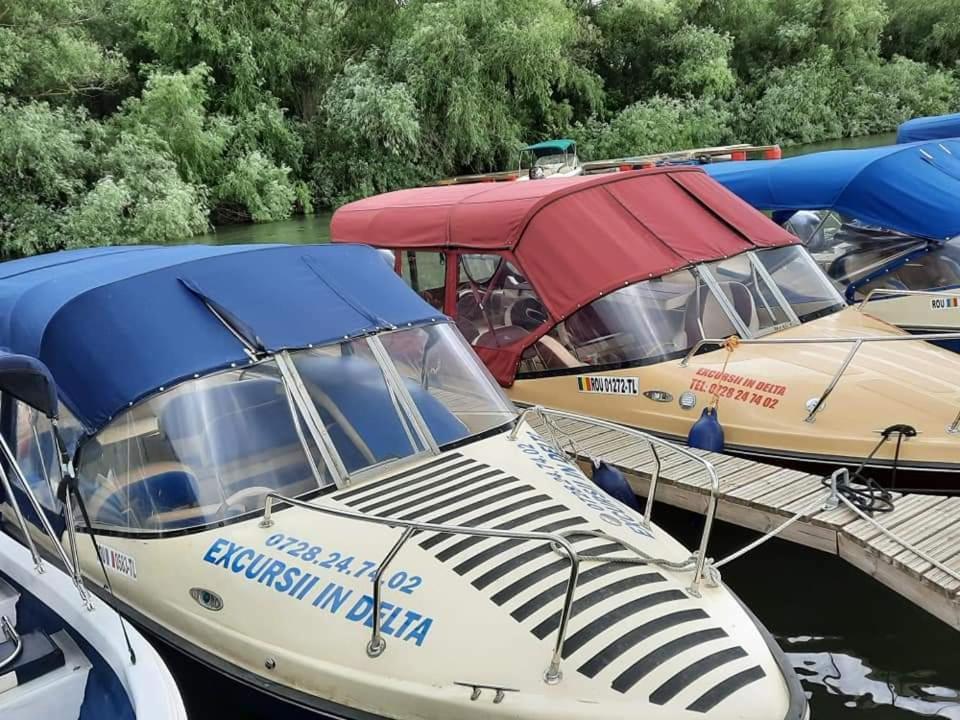Casa Badea Ξενοδοχείο Murighiol Εξωτερικό φωτογραφία